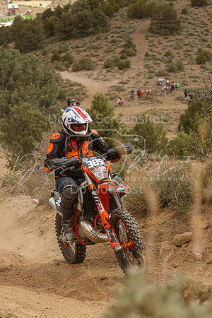 IMG_2217-389