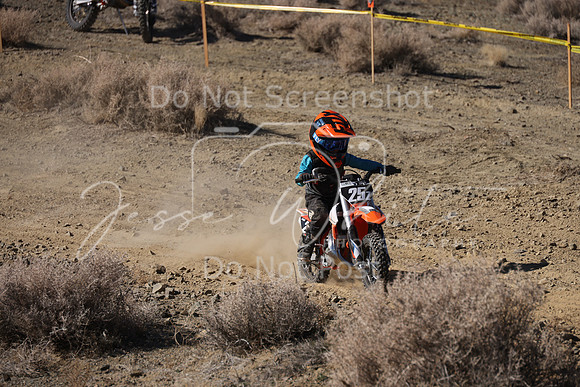 IMG_7553-25z