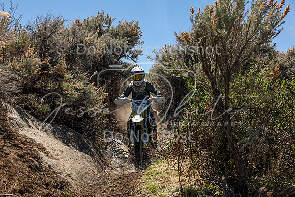 IMG_0328-13v