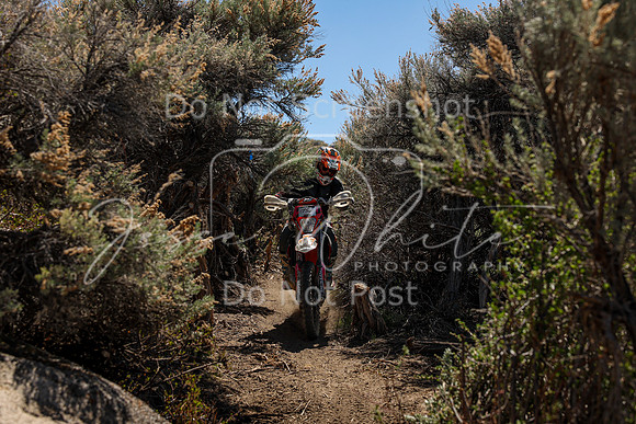 IMG_0634-175v