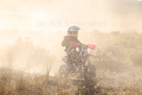 IMG_2603-802