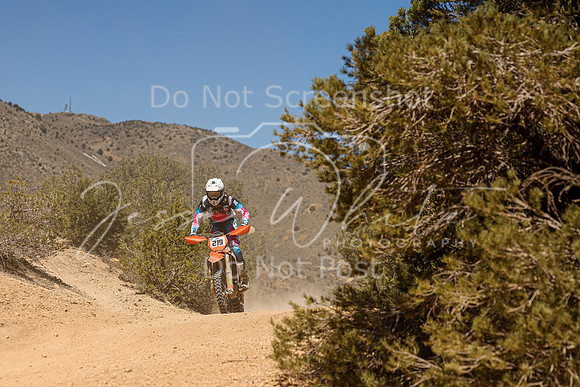IMG_7390-219