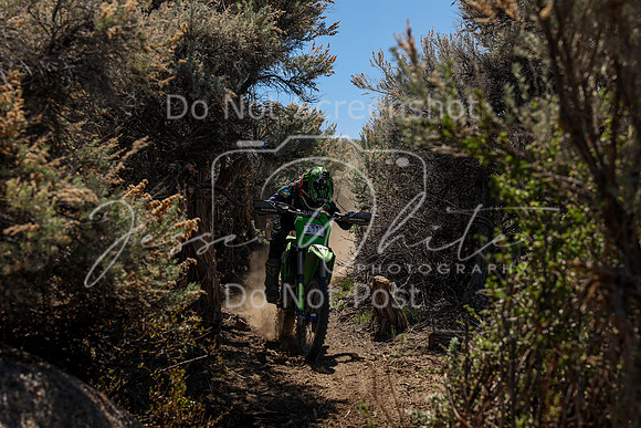 IMG_0419-199j