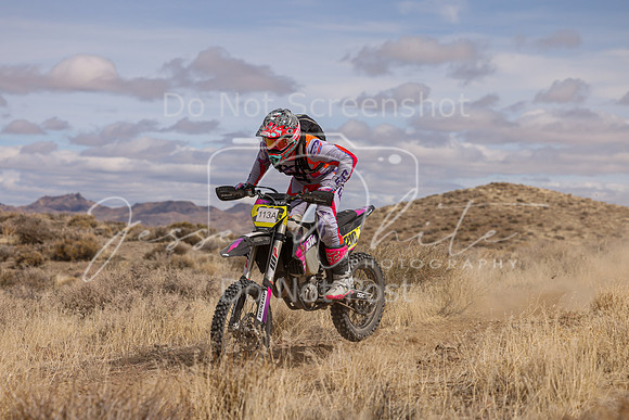 IMG_0449-113a