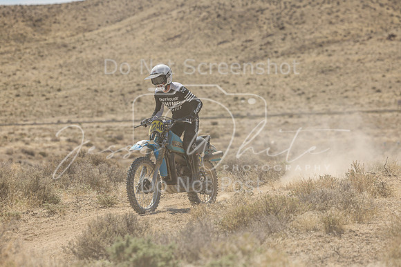 IMG_6528-224b