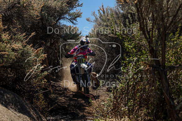 IMG_0261-111j