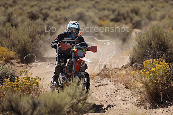 IMG_1704-n81s