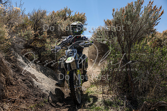 IMG_0258-8j