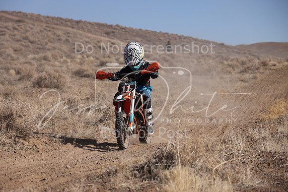 IMG_7852-11y