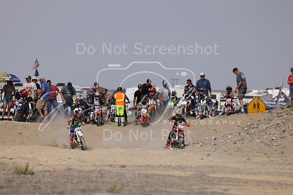 IMG_8209-928-313
