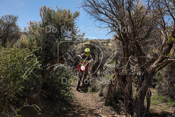 IMG_0461-474v
