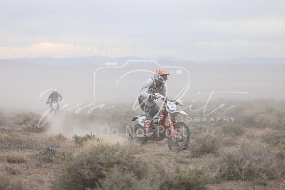 IMG_7331-38a