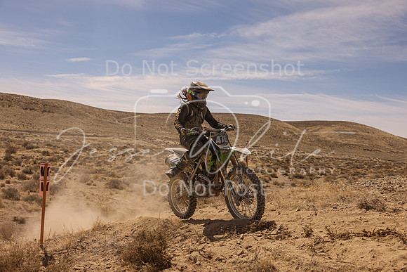 IMG_1533-478v