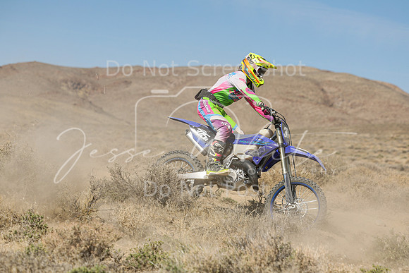 IMG_8096-315a