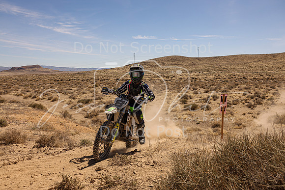 IMG_1295-8j