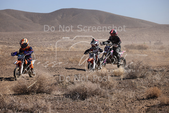 IMG_8005-168z-105z-13y