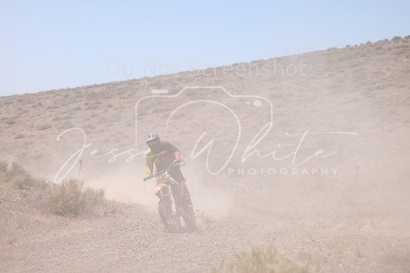 IMG_2874-802v