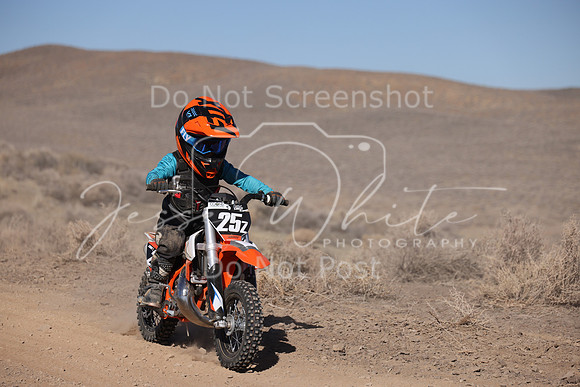 IMG_7374-25z