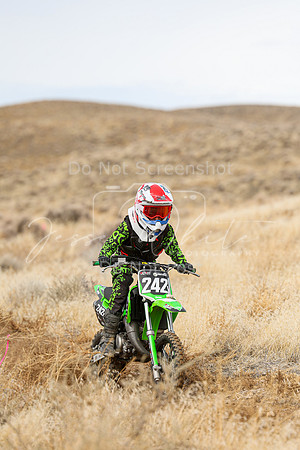 IMG_0036-242y