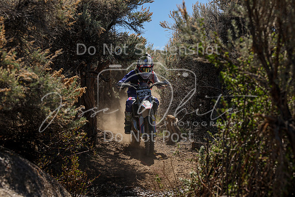IMG_0476-349j
