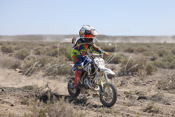 IMG_2517-313