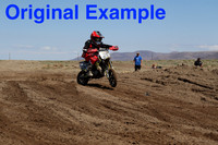 Races 8-14