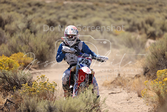 IMG_1553-n412v