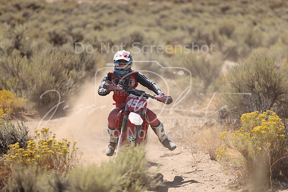 IMG_1454-454l