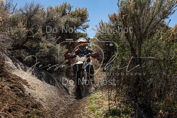 IMG_0430-112j
