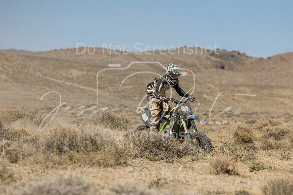 IMG_8168-432x
