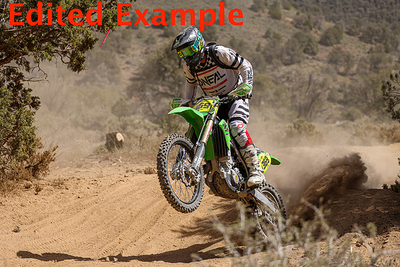 IMG_5794-369 copy