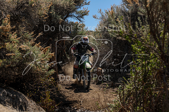 IMG_0592-18v