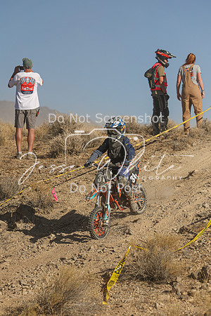 IMG_0341-31y