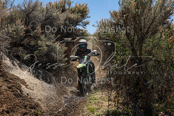 IMG_0551-117v