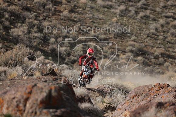IMG_5331-507j