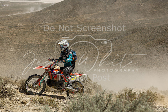IMG_3526-n515
