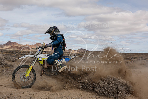 IMG_1972-84a