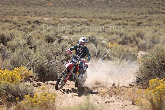 IMG_1572-n458x