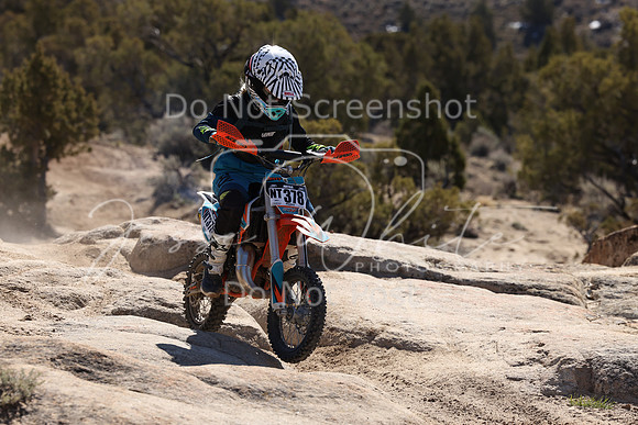 IMG_6115-nt378