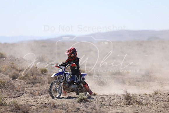 IMG_2272-800f