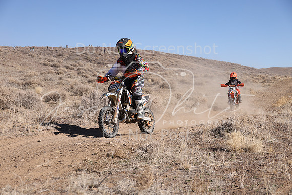 IMG_7809-981y
