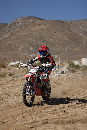 IMG_7311-812j