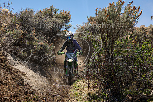 IMG_0353-304j