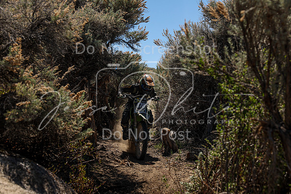 IMG_0506-478v