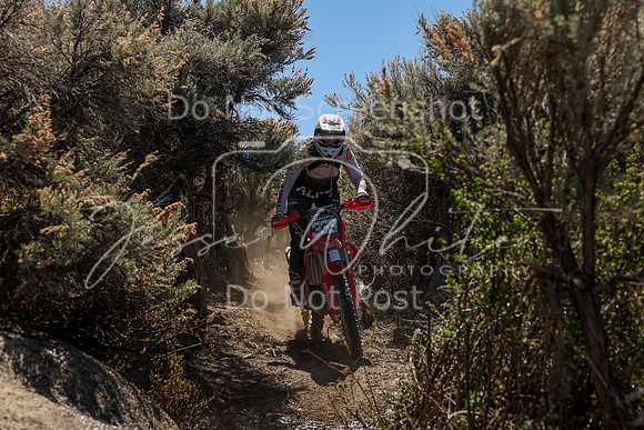 IMG_0537-333v