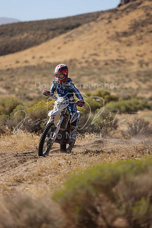 IMG_3466-902v
