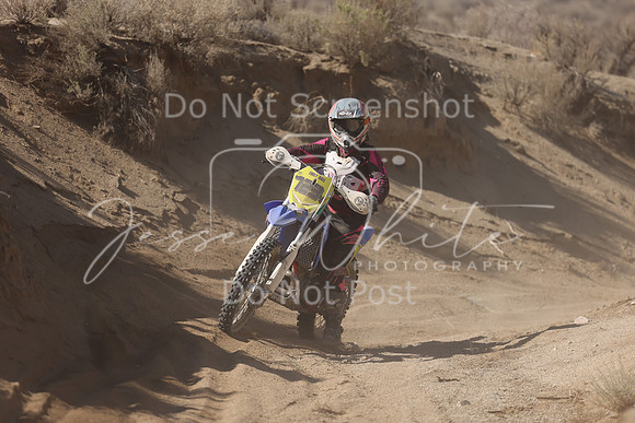 IMG_7068-723v