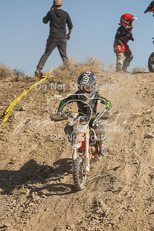 IMG_0412-209e
