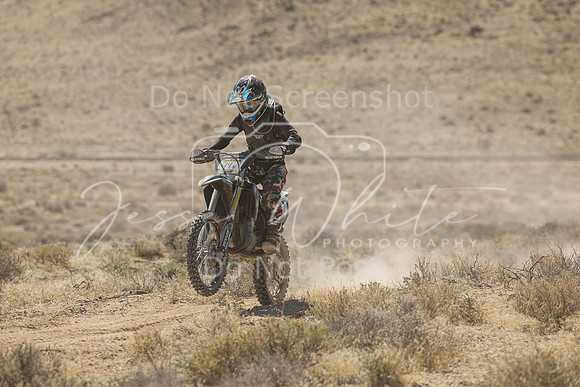 IMG_6600-94v