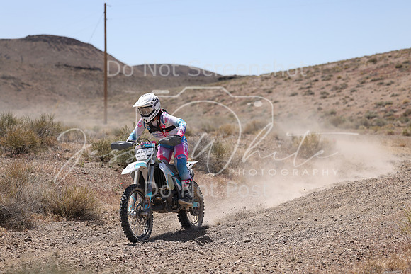 IMG_2968-222v